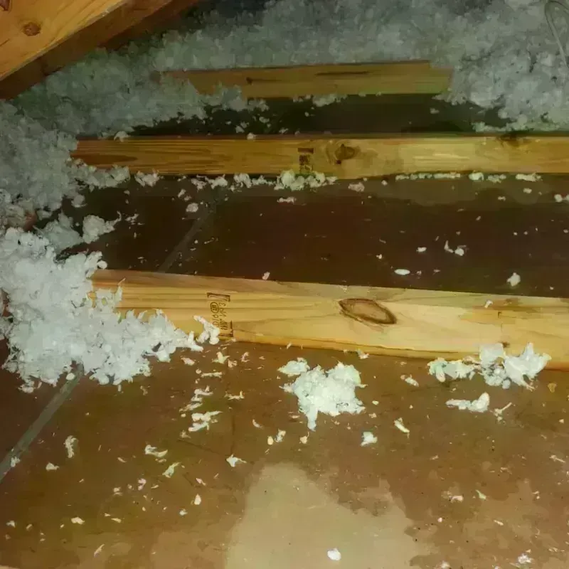 Attic Water Damage in Carlisle, MA